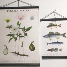 Planschhängare Svart - Nostalgiska.se