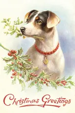  Vintage julkort 10 x 15 cm - Christmas greetings hund - Nostalgiska.se