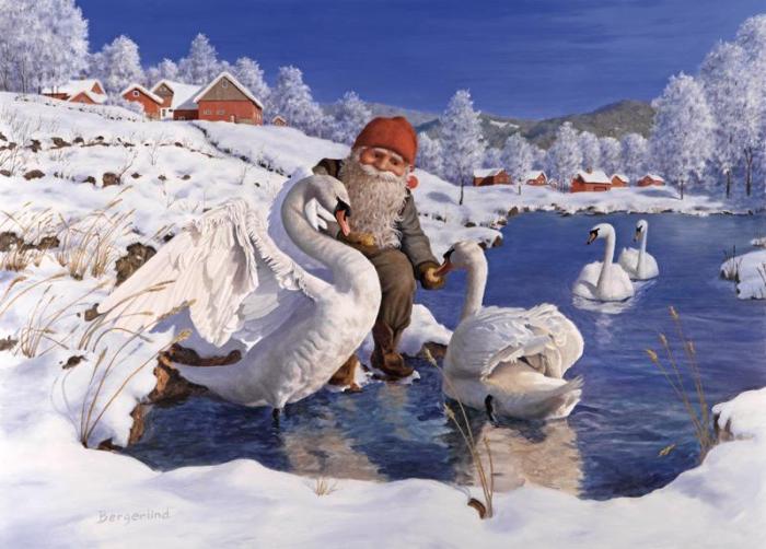 Bild 1,  Julkort tomte matar svanar - A6 format - Nostalgiska.se