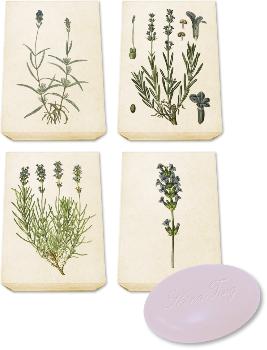 Bild 1,  Gästtvål lavendel- 4 pack - Nostalgiska.se