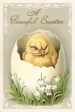  P&aring;skkort vintage p&aring;sk&auml;ggskal med kyckling 10 x 15 cm - Nostalgiska.se