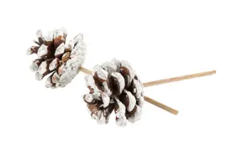  Adventspynt - Tallkotte med vitt på tråd stick ca 4-6 cm - Nostalgiska.se